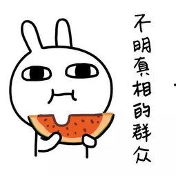 娱乐吃瓜酱据说睡觉,揭秘明星们的“睡觉”秘密